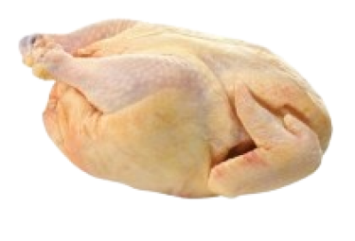 imagem de Galinha e Galo